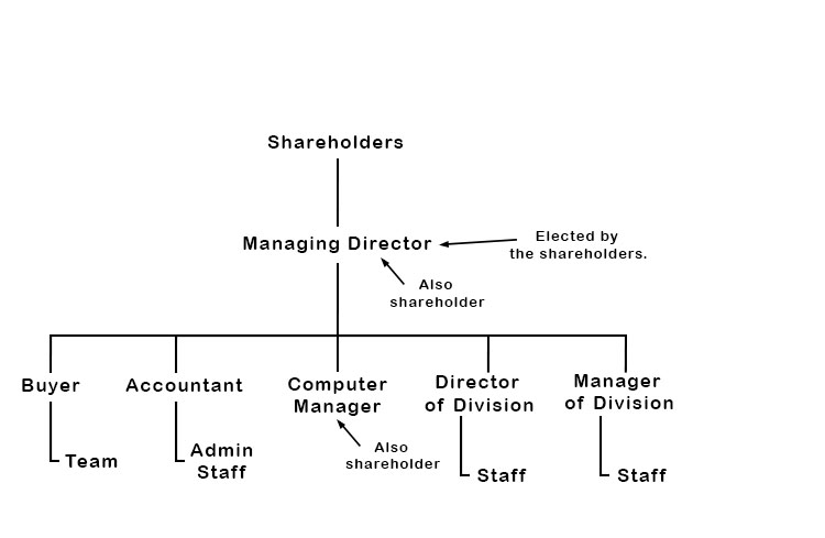 For large companies, there can be a number of directors. They can either all have no share of ownership, some can have shares while others don’t, or all of them can have shares. The organisational chart can look like the following
